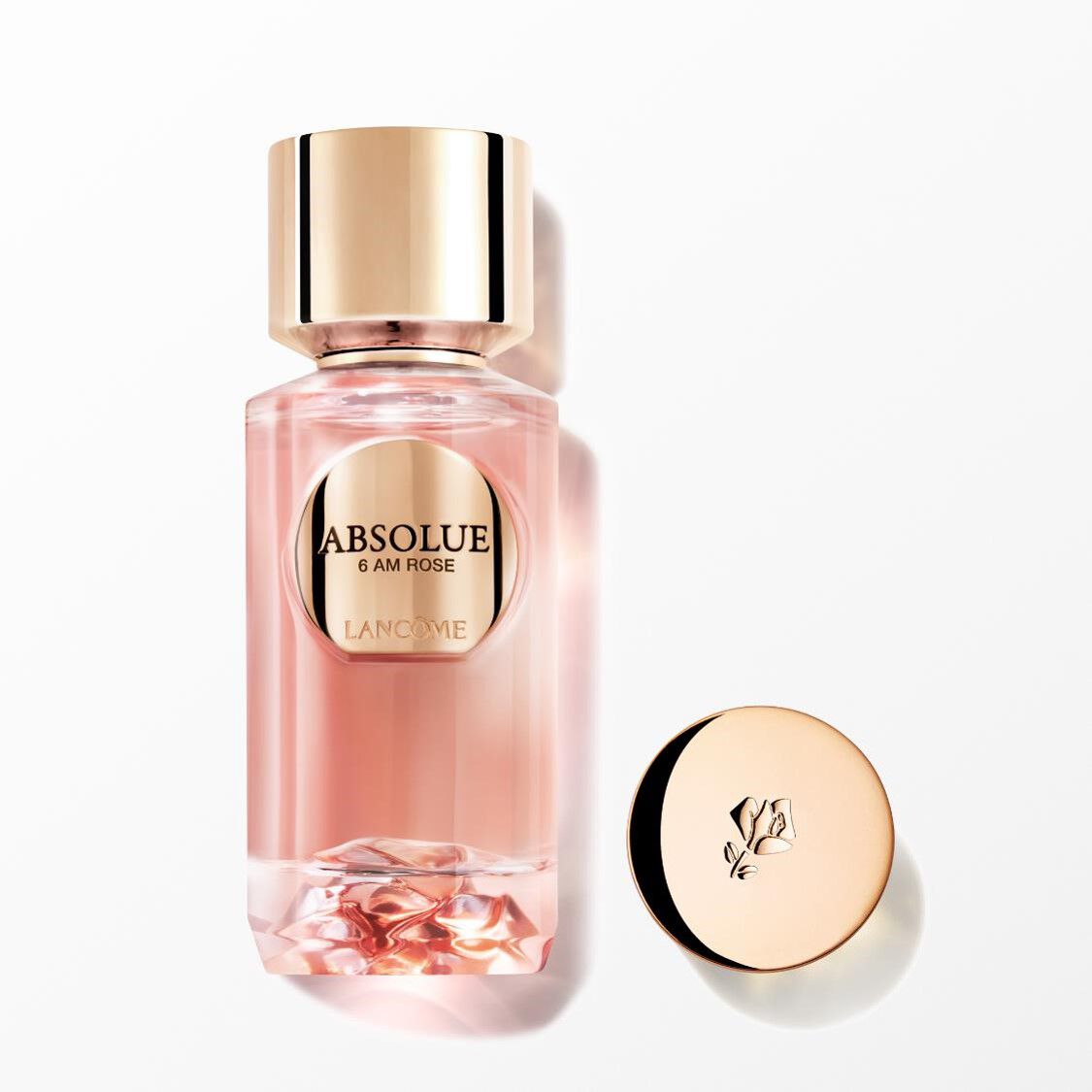 Absolue 6AM Rose