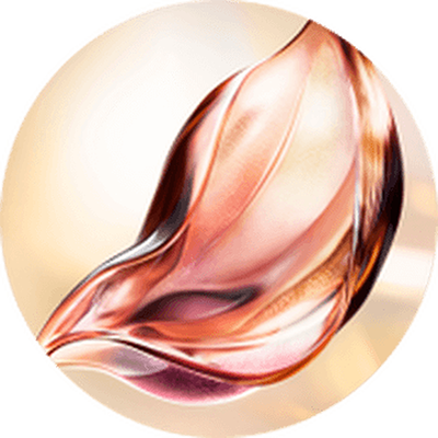 ROSE PERPETUELLE™