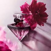 LA NUIT TRESOR