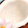 [visuel d’ingredient - recadrage sur une fleur de monoi]