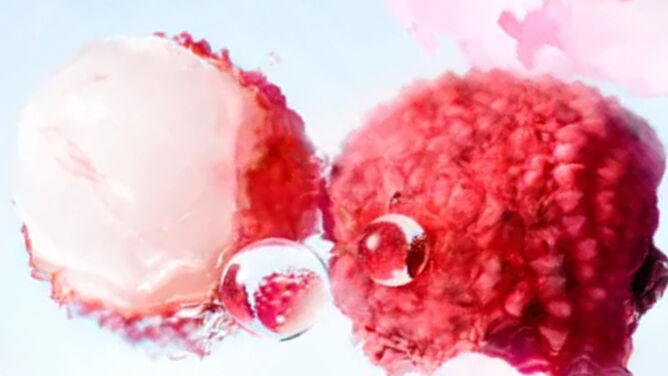 [ingredient visuel - recadrement sur des litchis]