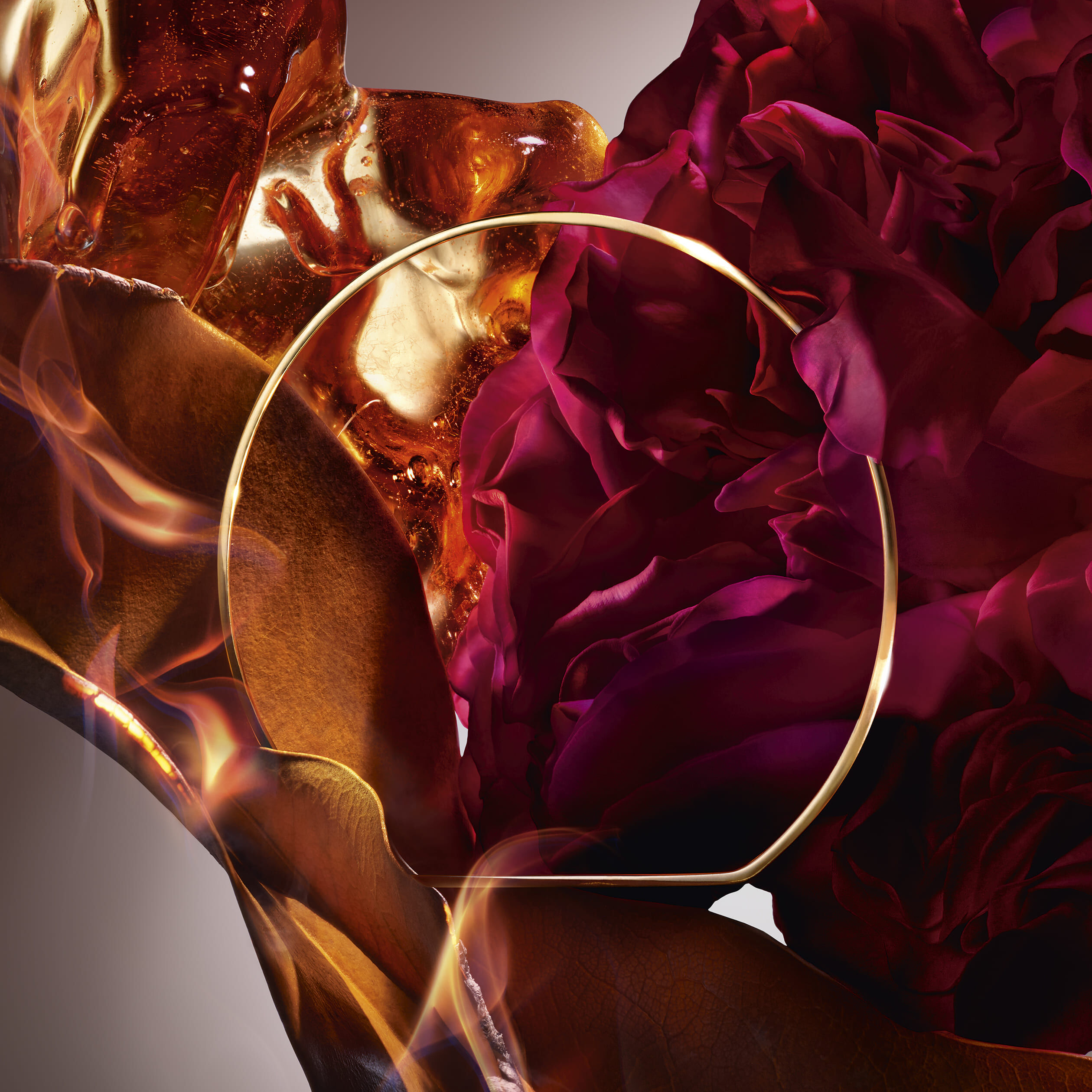 Absolue I Flamed A Rose