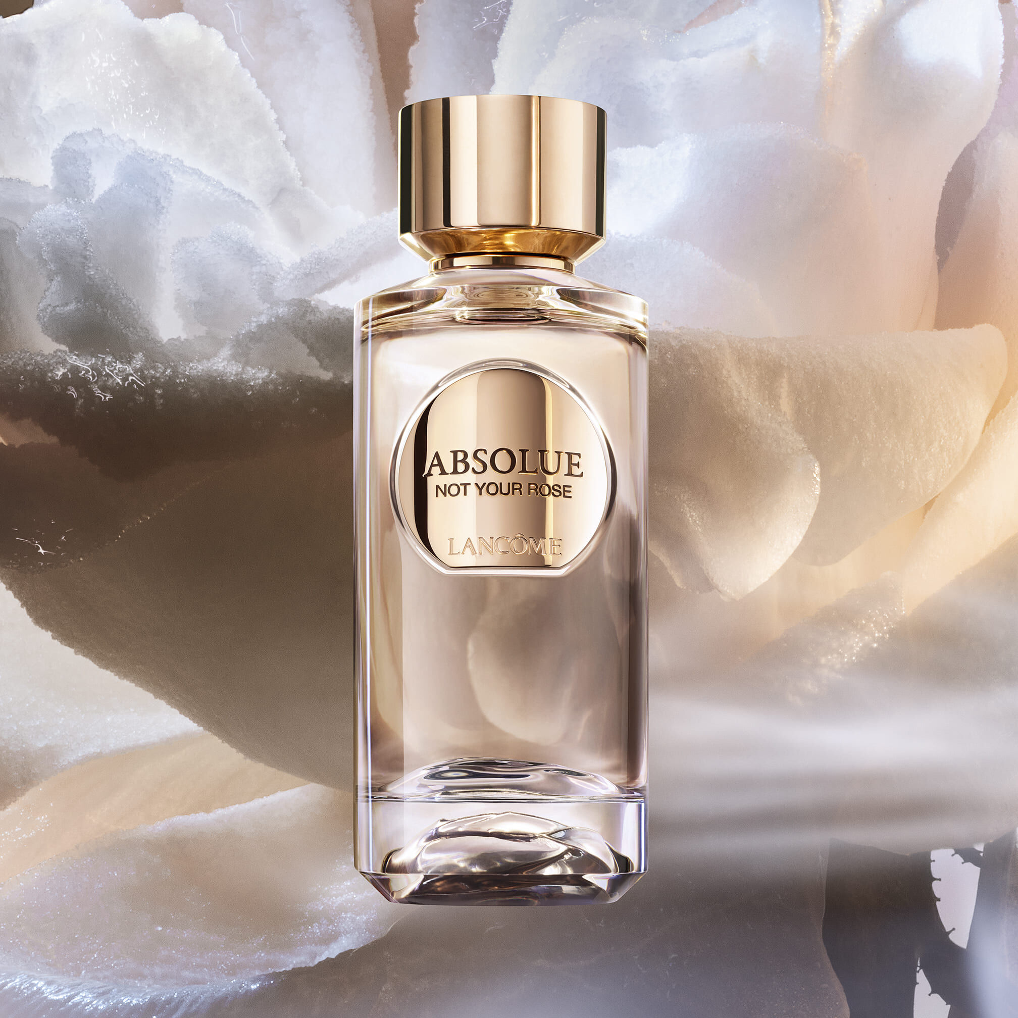 Absolue Not Your Rose