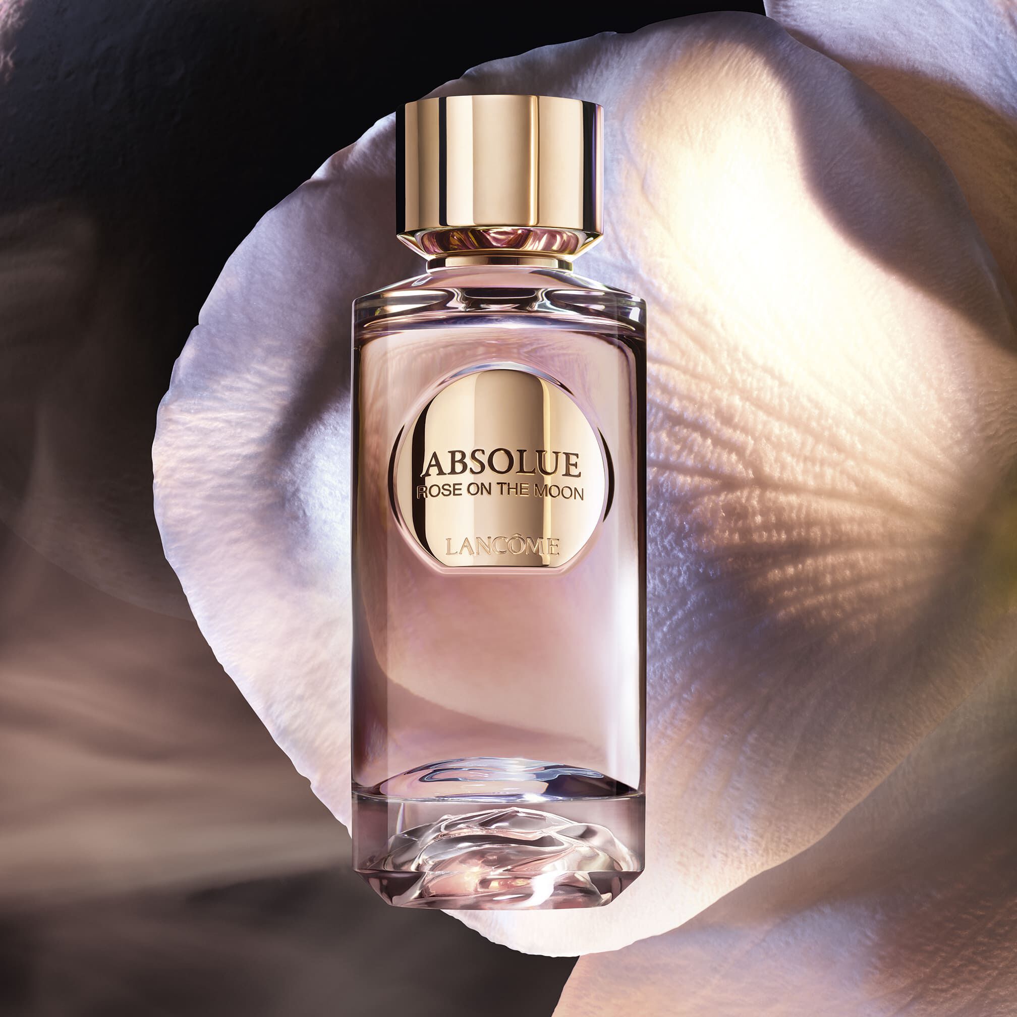 Absolue Rose On The Moon