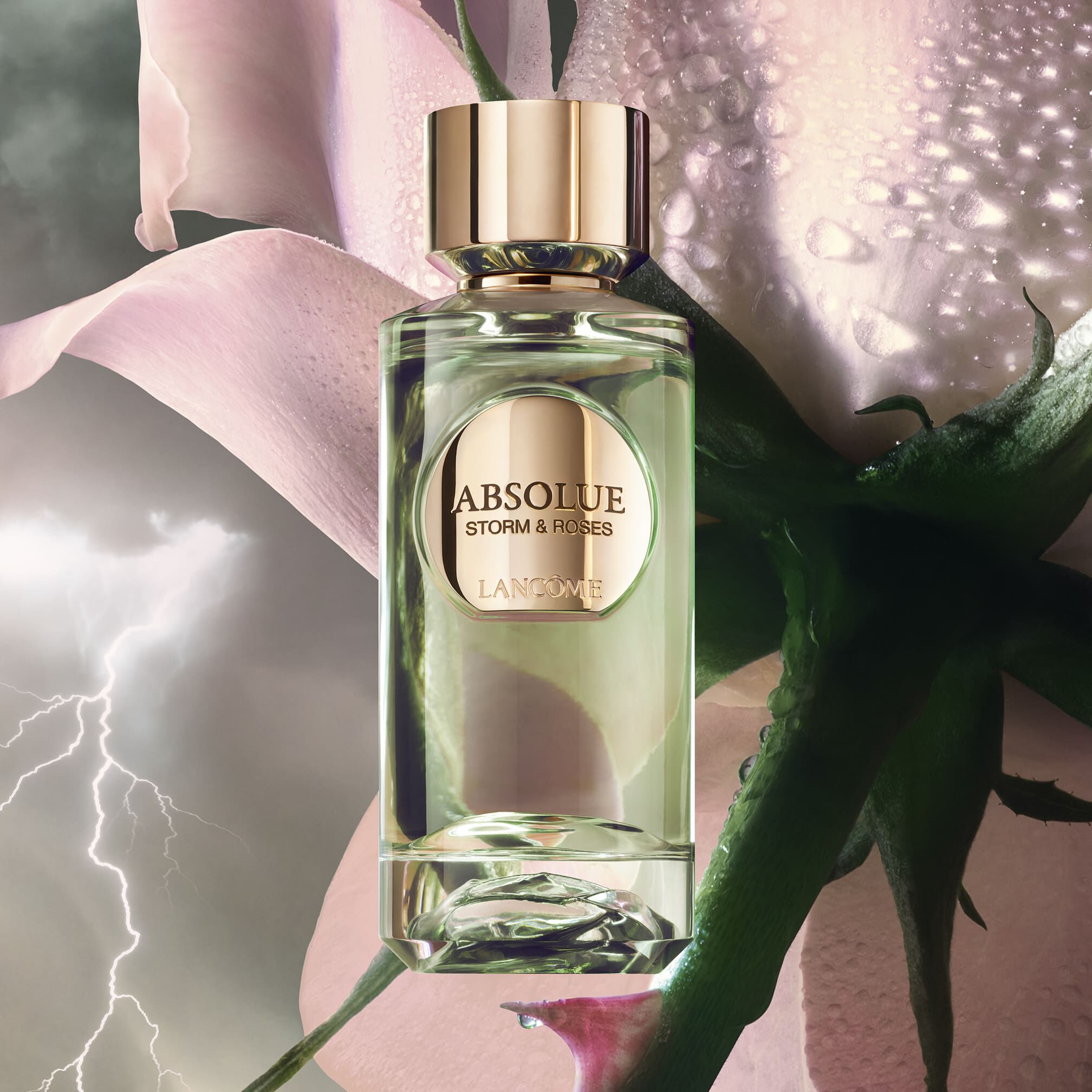 Absolue Storm & Roses