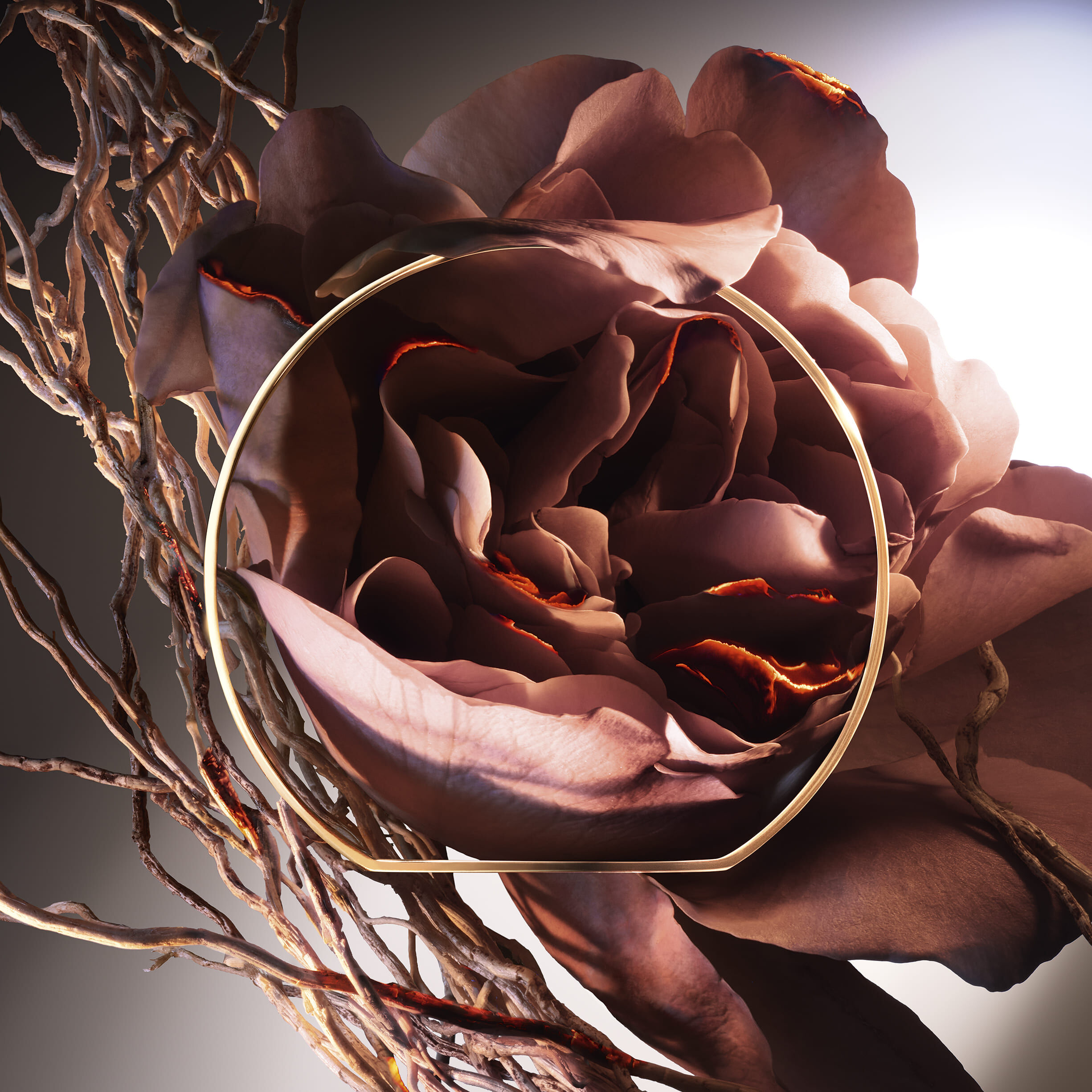 Absolue Hell Of A Rose