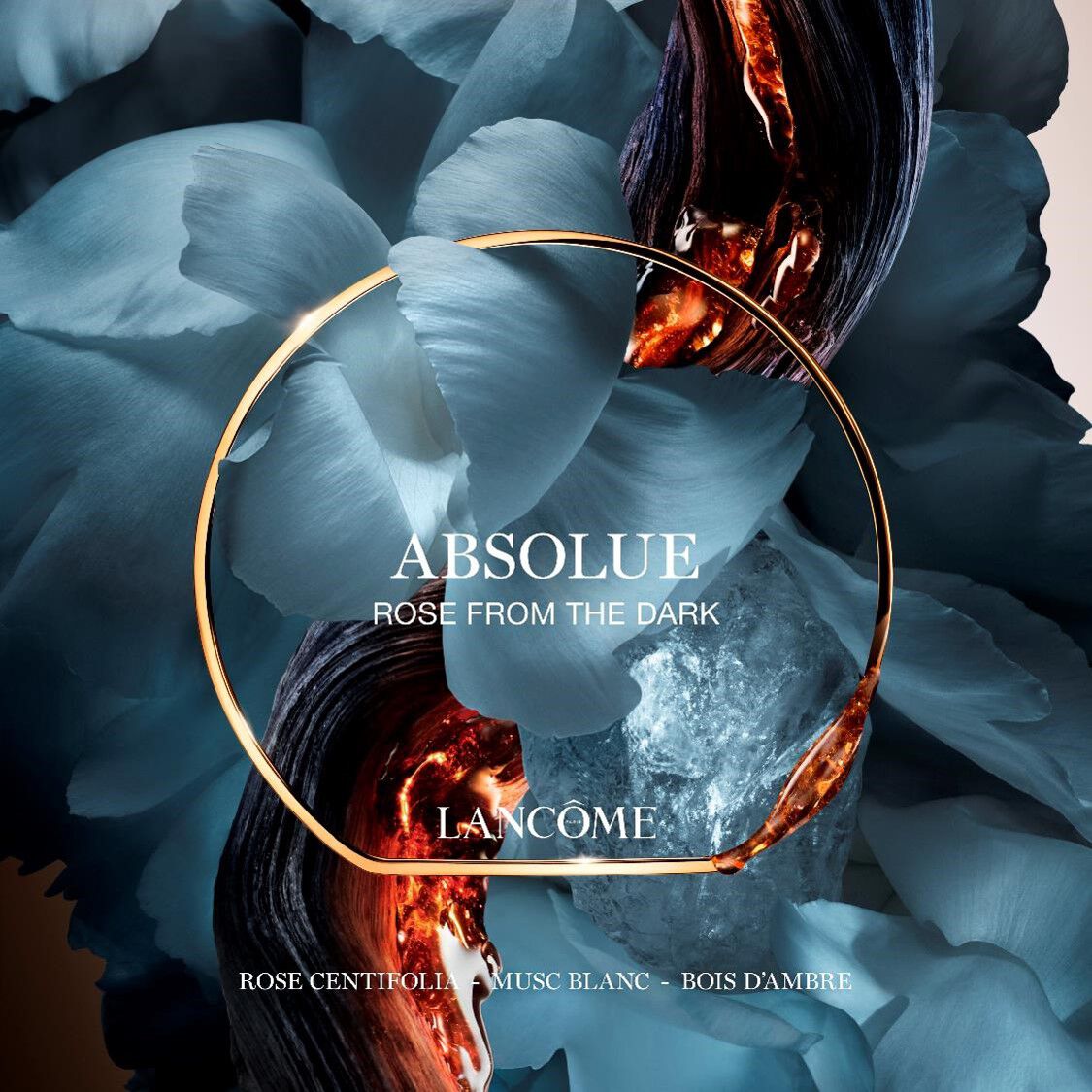 ABSOLUE ROSE FROM THE DARK