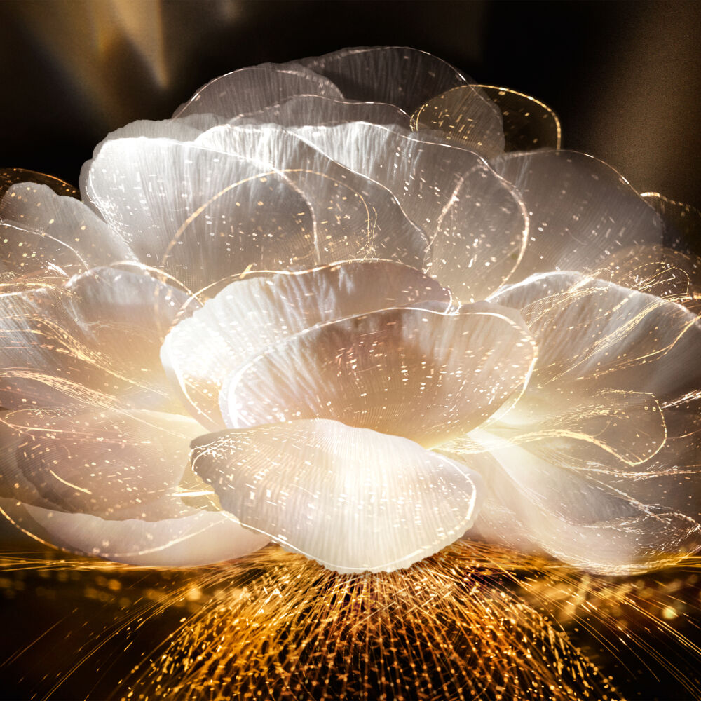 ABSOLUE L’EXTRAIT EAU DE SOIN