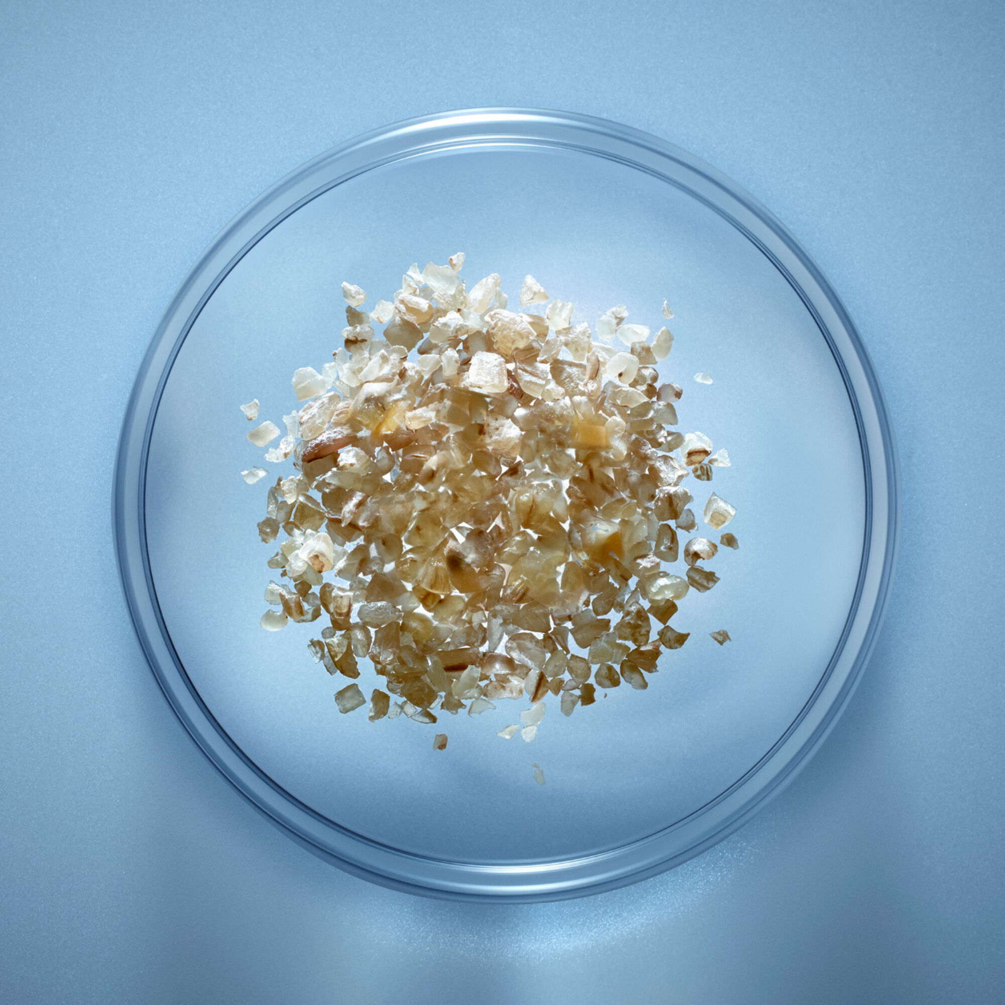 A glass petri dish containing a mound of light brown and beige sea salt crystals, set against a smooth blue background.