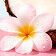 [ingredient visuel - recadrement sur la noix de coco]