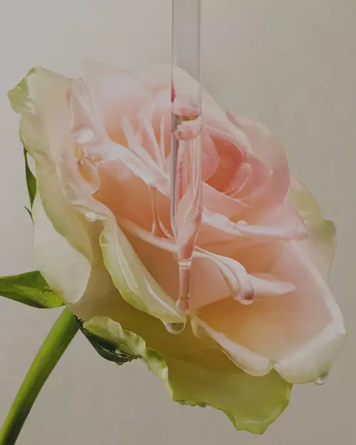 Les Engagements de Lancome