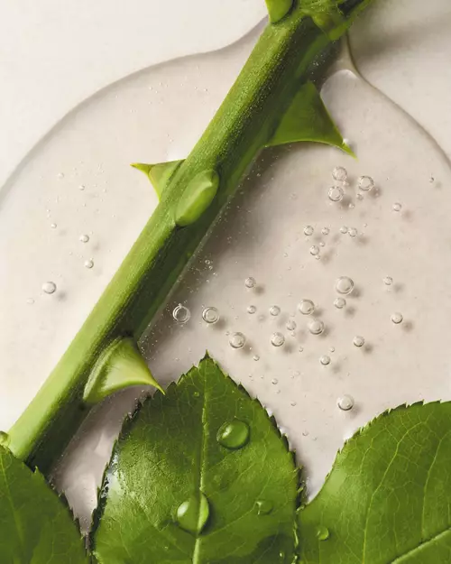 Extraction verte Lancome
