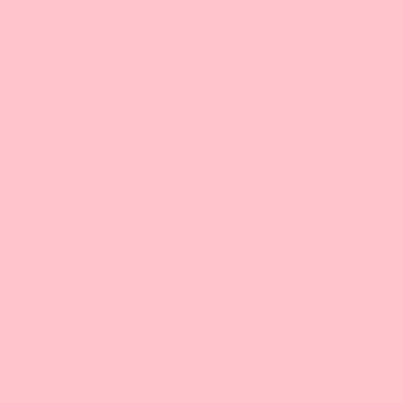 A solid background in soft pink color.