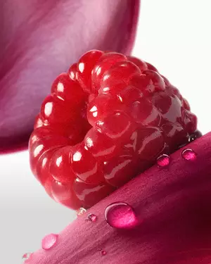 Illustration d'une fragrance fruitee Lancome
