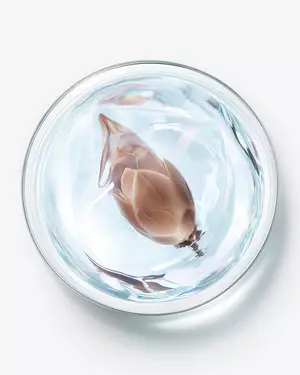illustration de la science avancee des soins de la peau