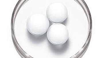 Three white, spherical objects are placed on a white surface inside a clear petri dish.
