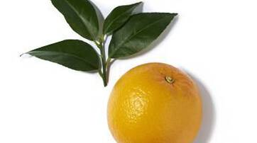 An orange with green leaves on a white background.