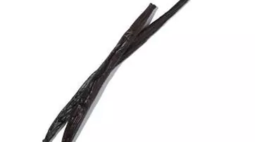 Two dark brown vanilla pods lying on a white background.