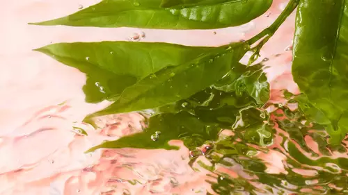 Visuel de beaute fraiche pour Lancome