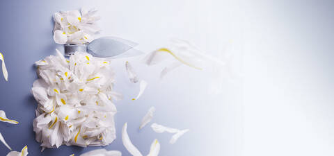 Image Alt Text