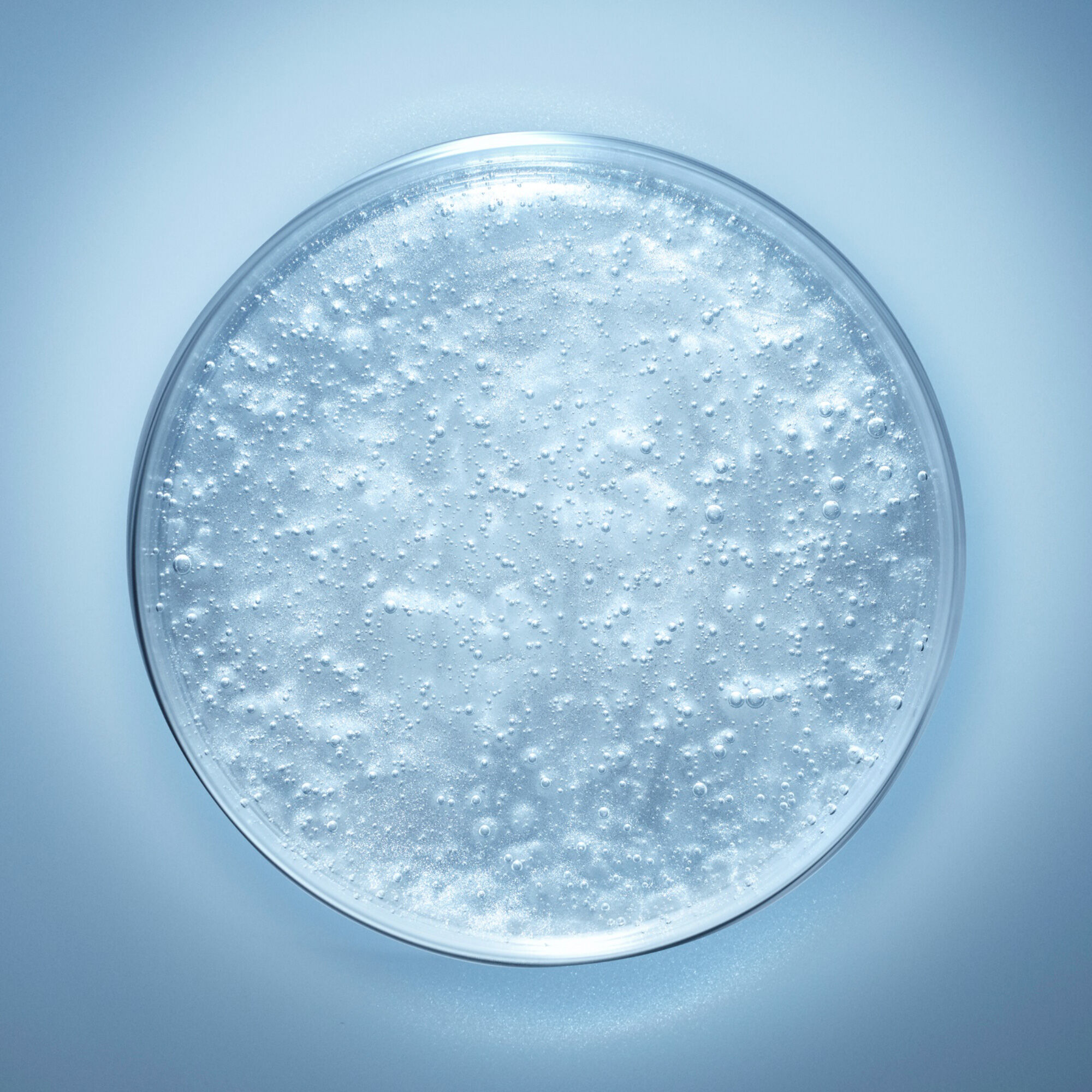 A clear petri dish filled with a bubbly, translucent liquid, illuminated to highlight the bubbles and texture.