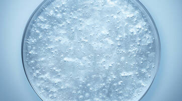 A clear petri dish filled with a bubbly, translucent liquid, illuminated to highlight the bubbles and texture.