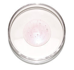 A clear petri dish containing a circular sample with a light pink color and small bubbles.