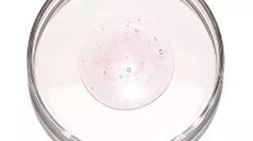 A clear petri dish containing a circular sample with a light pink color and small bubbles.