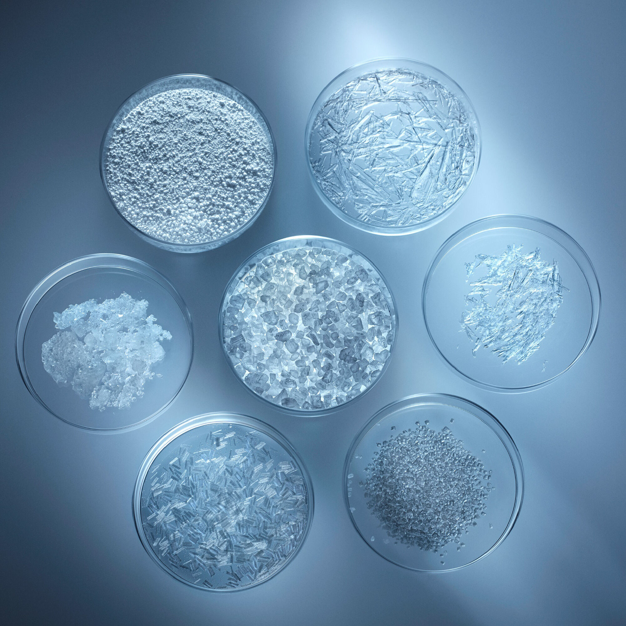 A top-down view of various crystalline substances displayed in clear petri dishes, arranged in a circular pattern against a soft blue background.
