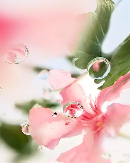 Illustration pour la FAQ Lancome