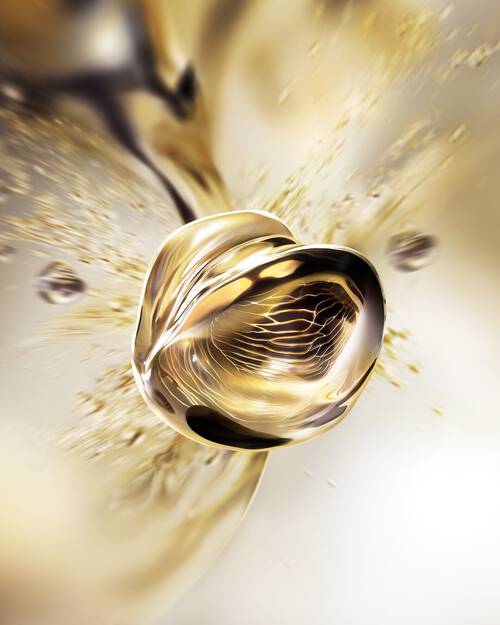 Illustration de l’article sur la longevite