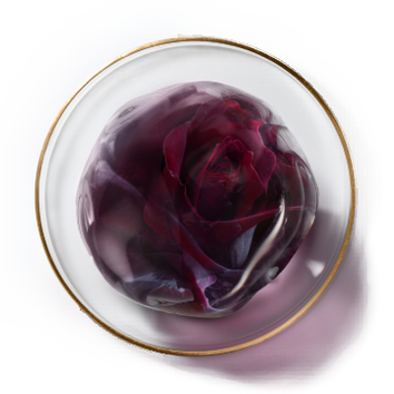 Fleur de chou rouge en gel, presentee dans un plat en verre avec un contour dore. Elegance et couleur vibrante.