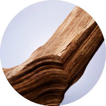 Gros plan sur un morceau de bois sculpte, mettant en valeur les textures et les courbes naturelles.