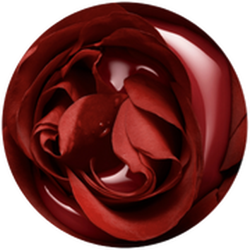 Lancome France