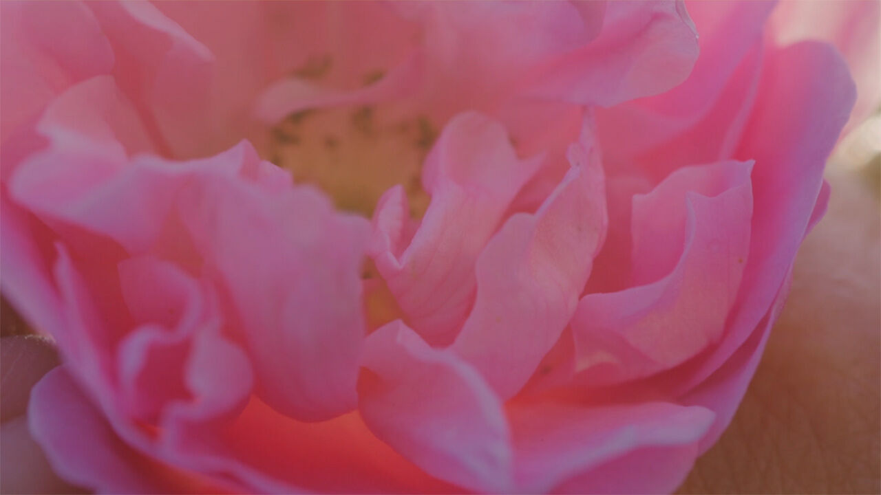 Lancome France