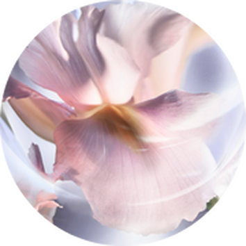 Lancome France