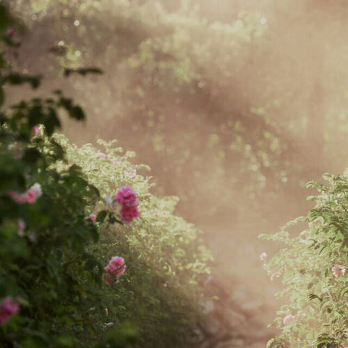 Lancome France