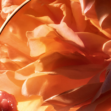 Lancome France