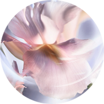 Lancome France