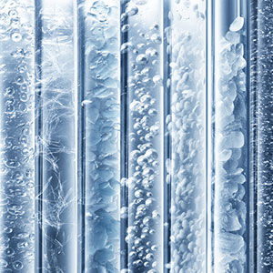 TOUT CE QUE VOUS DEVEZ SAVOIR SUR LE MICROBIOME DE LA PEAU