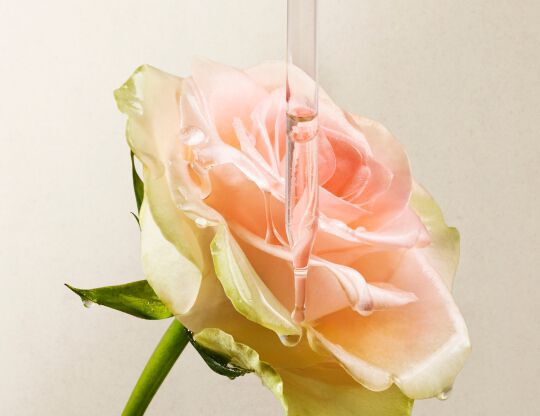 Lancome France