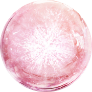 Lancome France