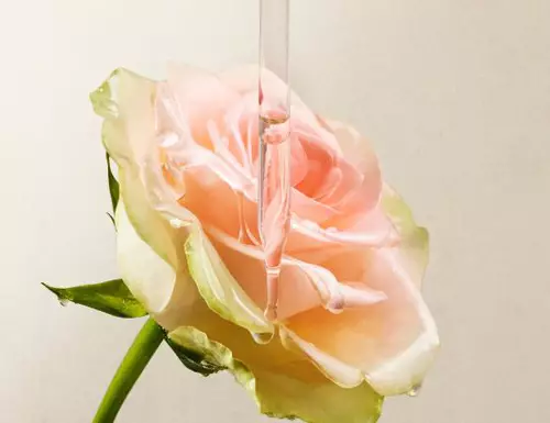 Lancome France
