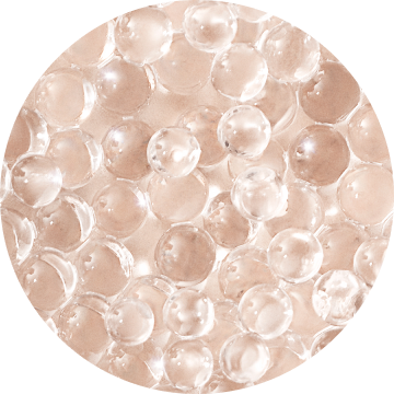 Lancome France