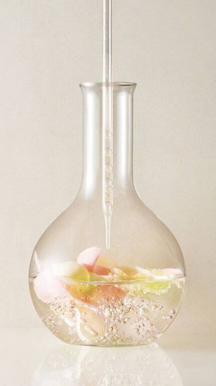 Lancome France