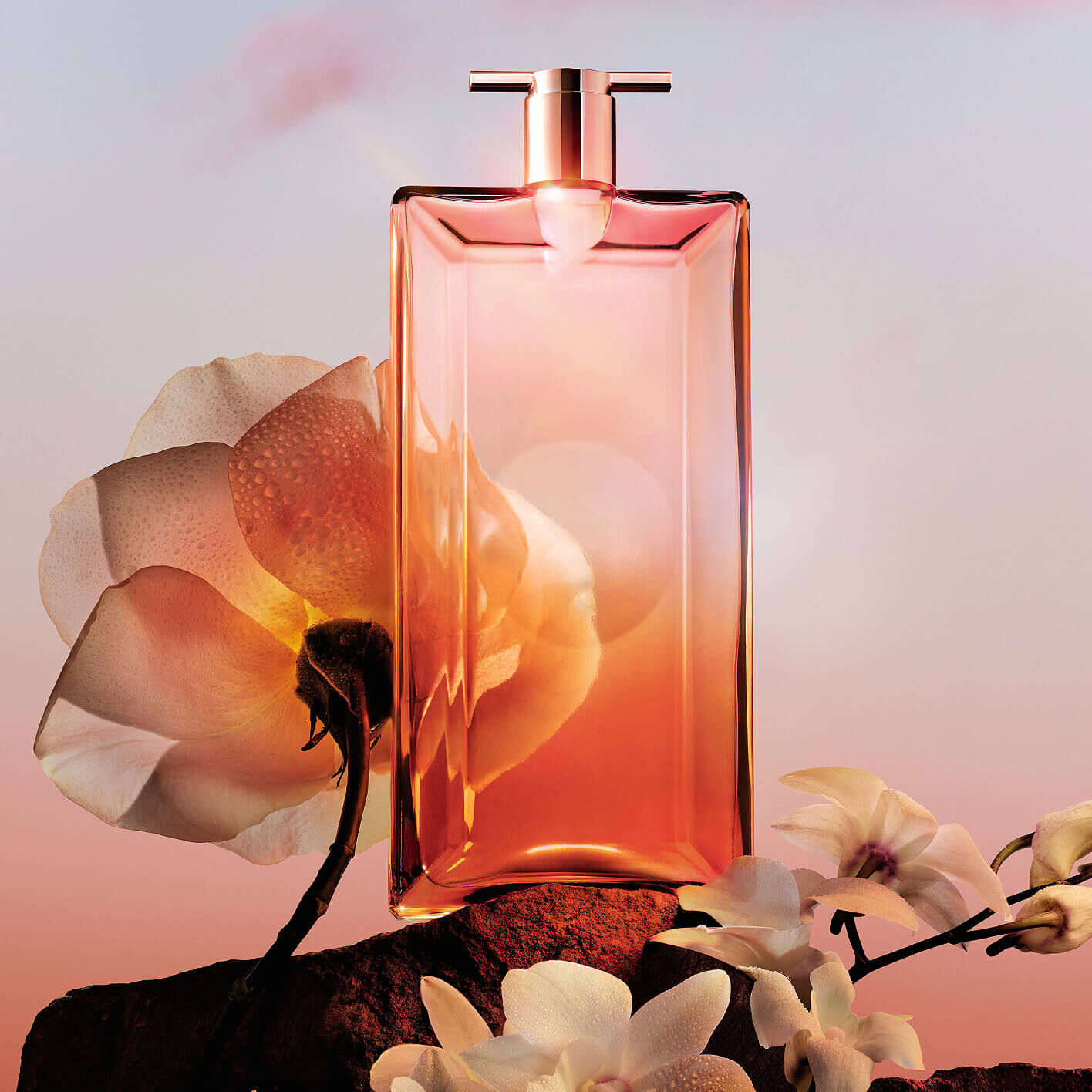 Idole Now nature morte