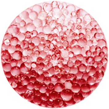 Lancome France