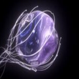 A quoi servent les peptides en cosmetique ?