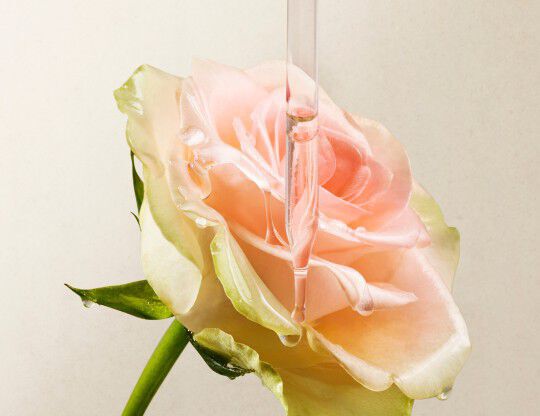 Lancome France