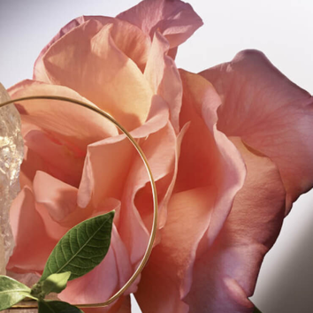 Lancome France